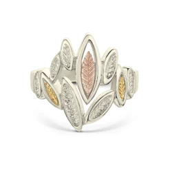 Seasons All Gold Ring In 9ct White, Yellow & Rose Gold -Bijourist Sales Store 9WYR R265 face