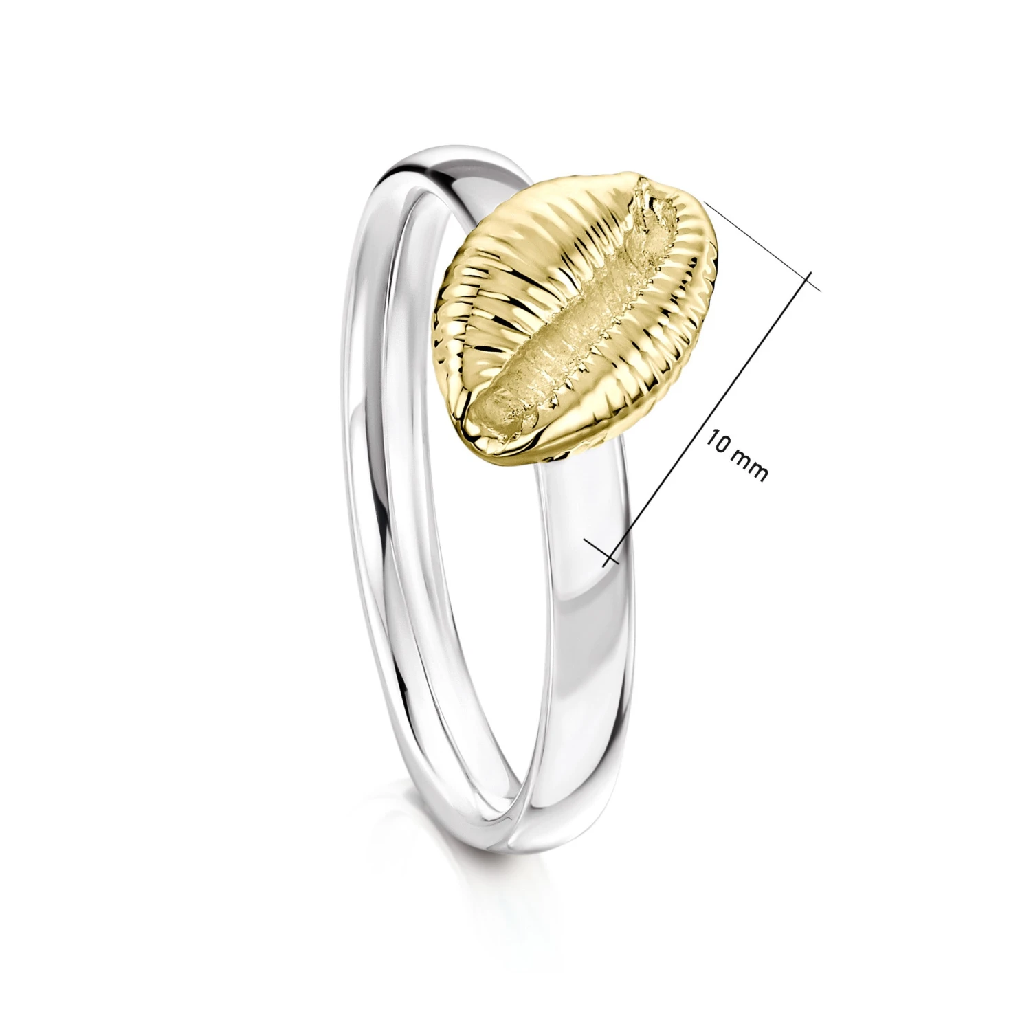 Groatie Buckie Large Shell Ring In Silver & 9ct Yellow Gold 2 Groatie Buckie Large Shell Ring In Silver & 9ct Yellow Gold - Image 2