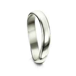 Cosmos Constellation Plain Band In Platinum