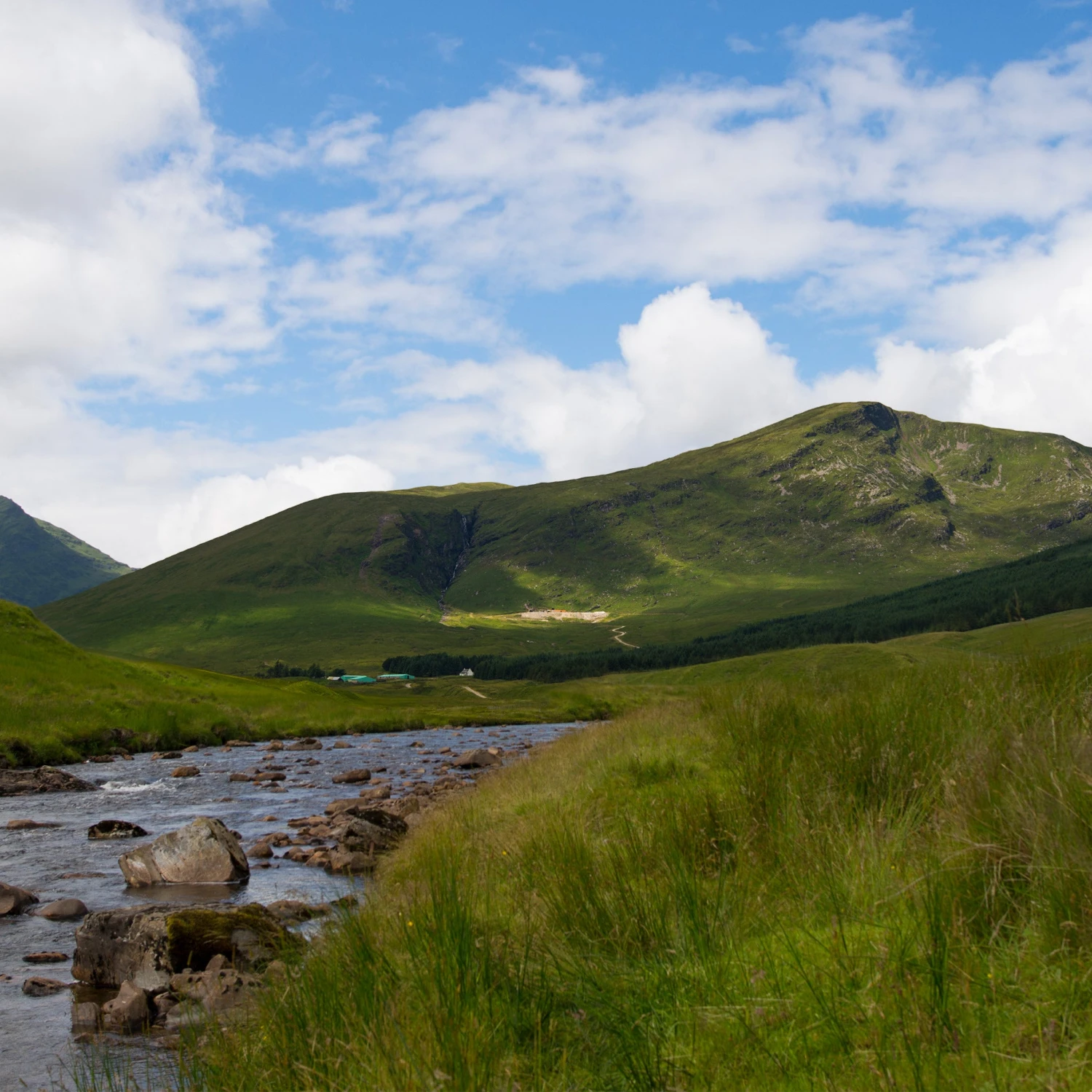Reef Knot Ruby Drop Earrings In 18ct White & Rose Scottish Gold 7 Reef Knot Ruby Drop Earrings In 18ct White & Rose Scottish Gold - Image 7
